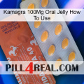 Kamagra 100Mg Oral Jelly How To Use 43